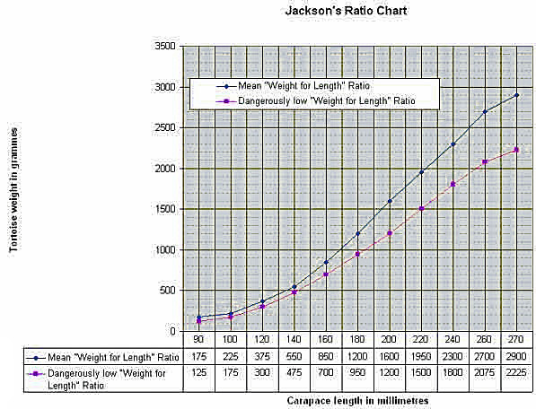 Horsefield Tortoise Weight Chart